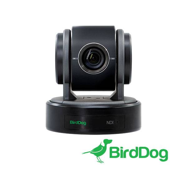 BirdDog Eyes P100 PTZ camera (Black)