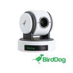BirdDog P100 PTZ camera (White)