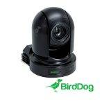 BirdDog P200 PTZ (Black)