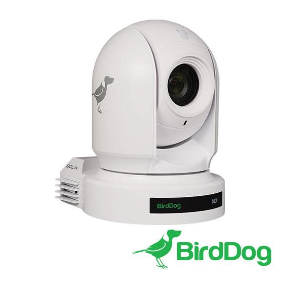 BirdDog Eyes P200 PTZ camera (White)