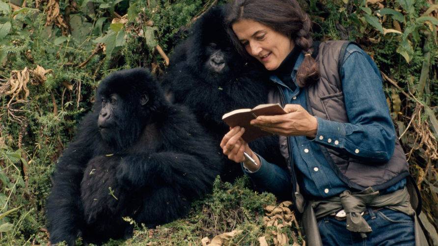 Dian-Fossey