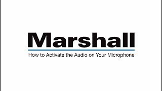 Marshall Broadcast at IBC 2025