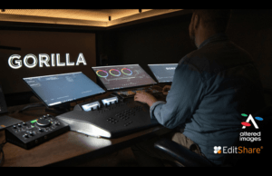 Gorilla pr v12026