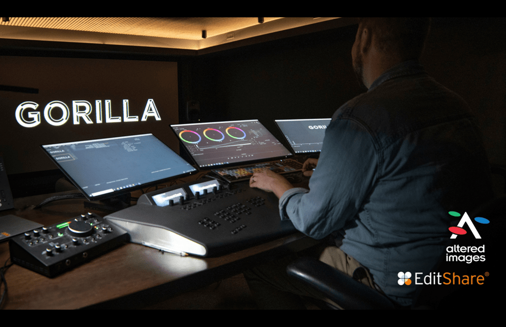 Gorilla pr v12026